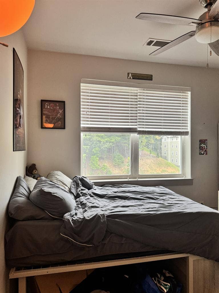 Male roommate for The Finmore