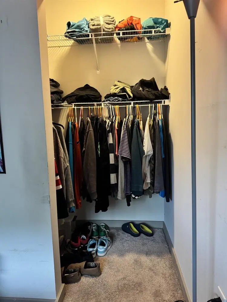 Male roommate for The Finmore