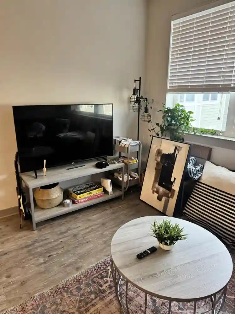 Male roommate for The Finmore