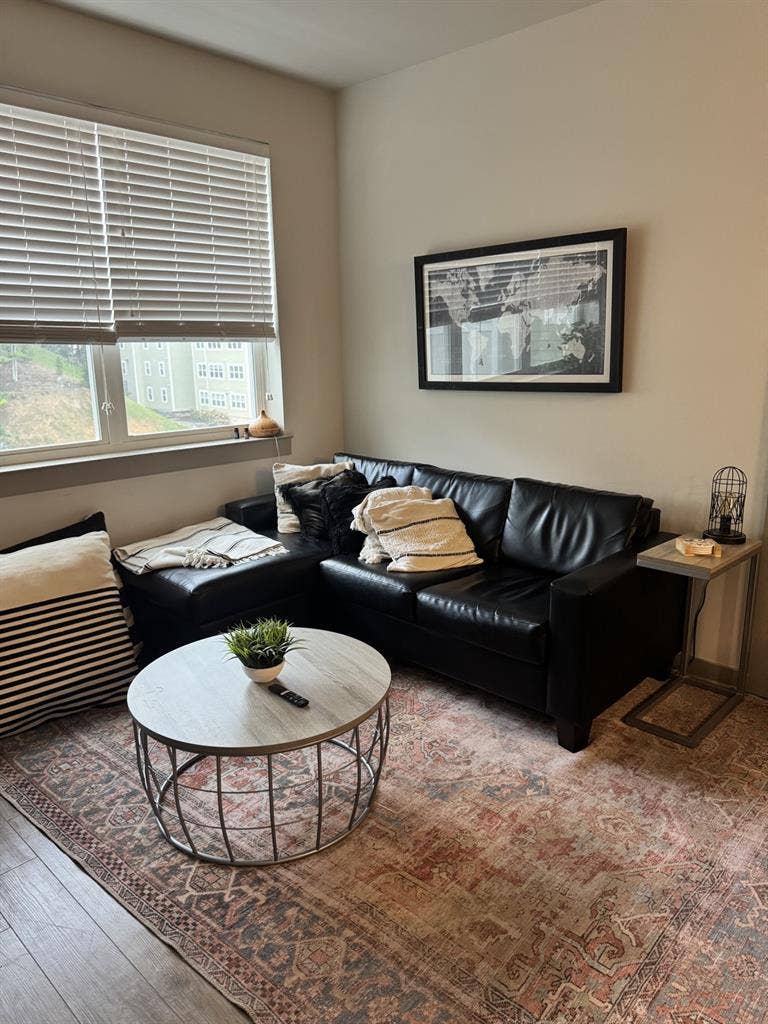 Male roommate for The Finmore