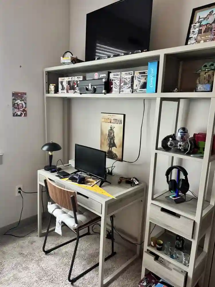 Male roommate for The Finmore