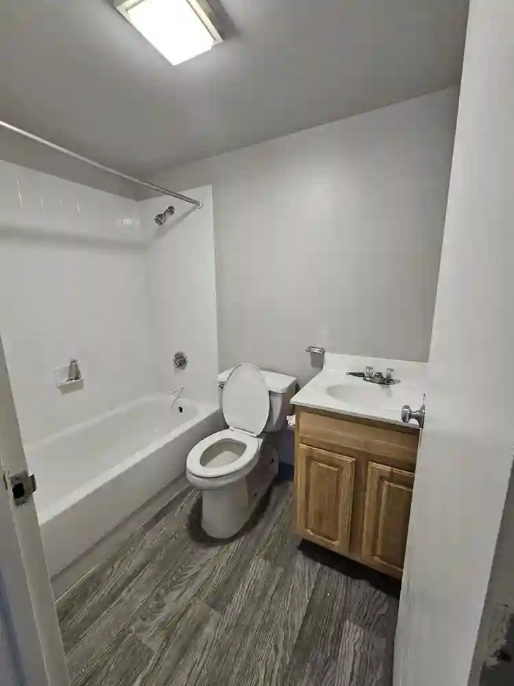 ISO ROOMMATE SOUTH END