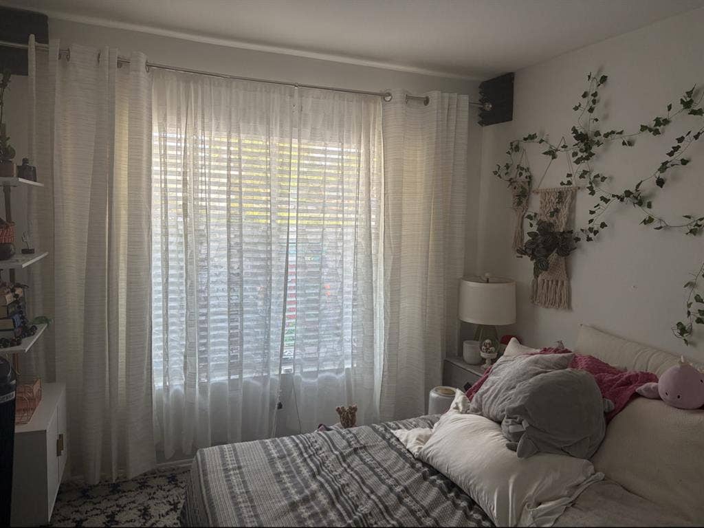 Looking for respectful roomate