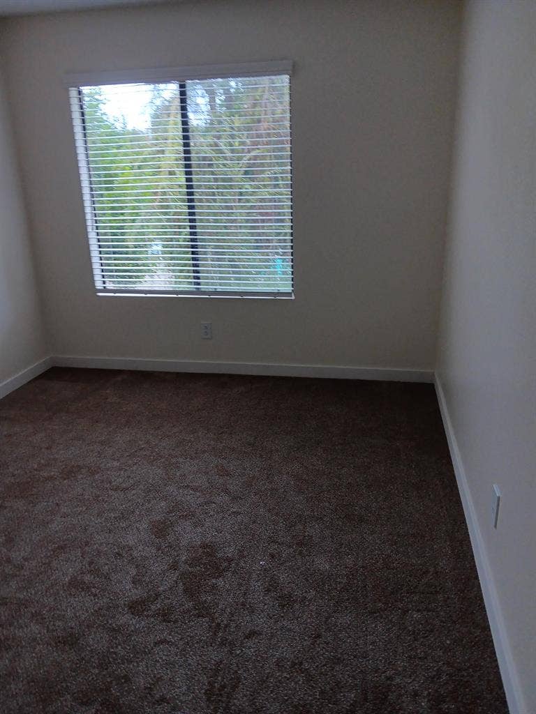 Room for rent, + apartment