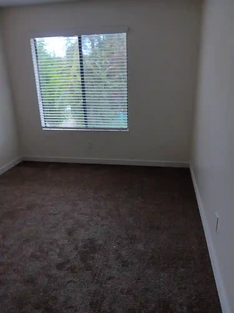 Room for rent, + apartment
