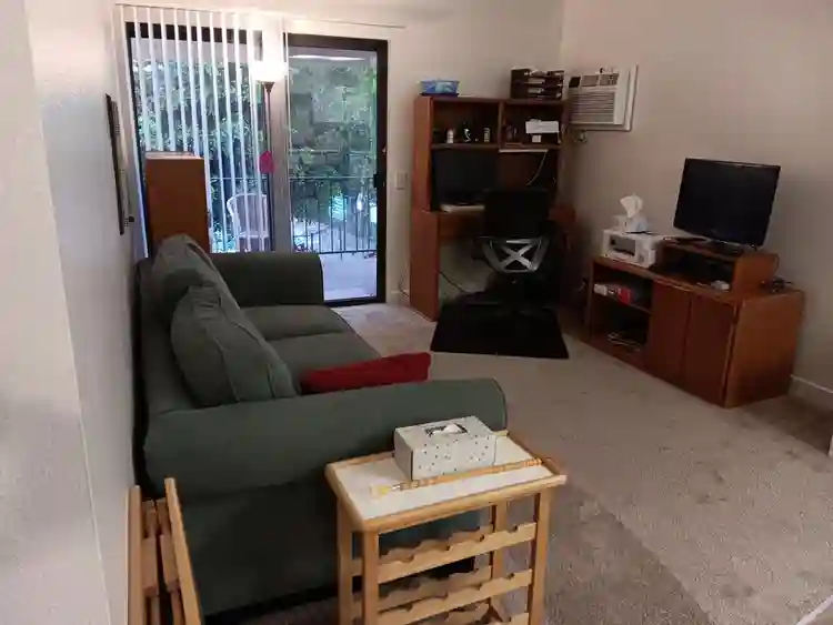 Room for rent, + apartment