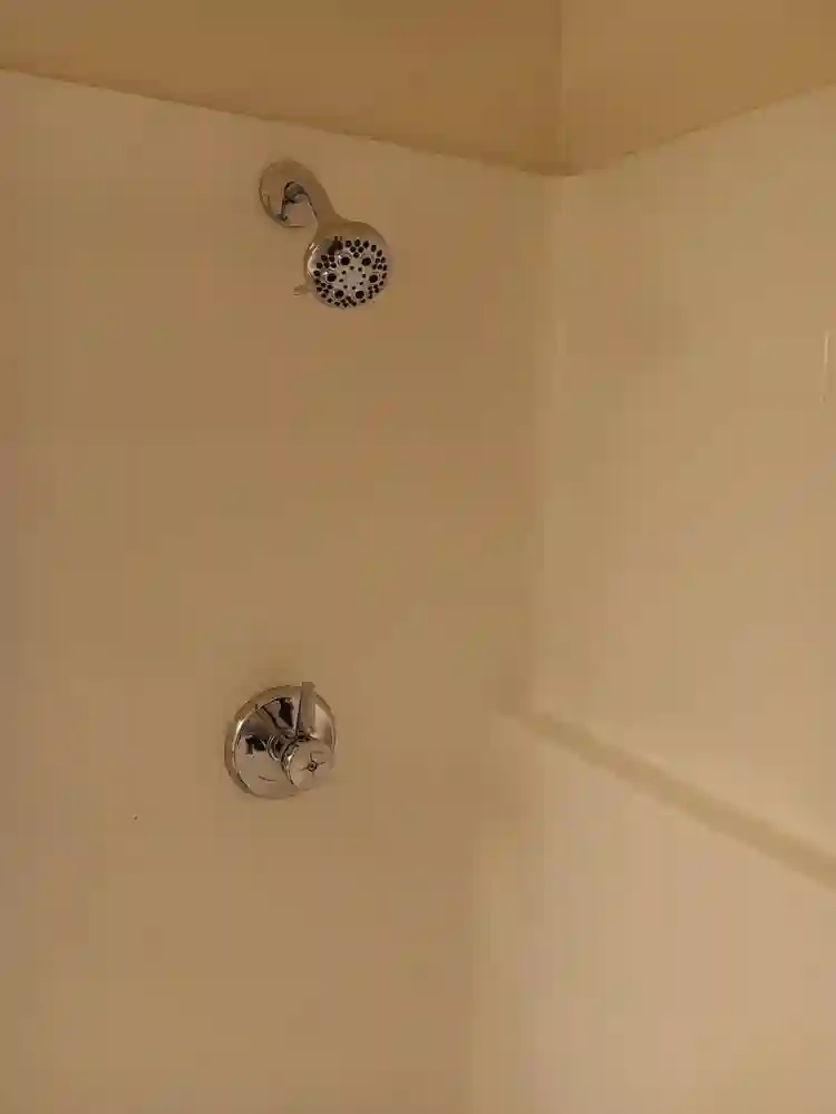 Room for rent, + apartment