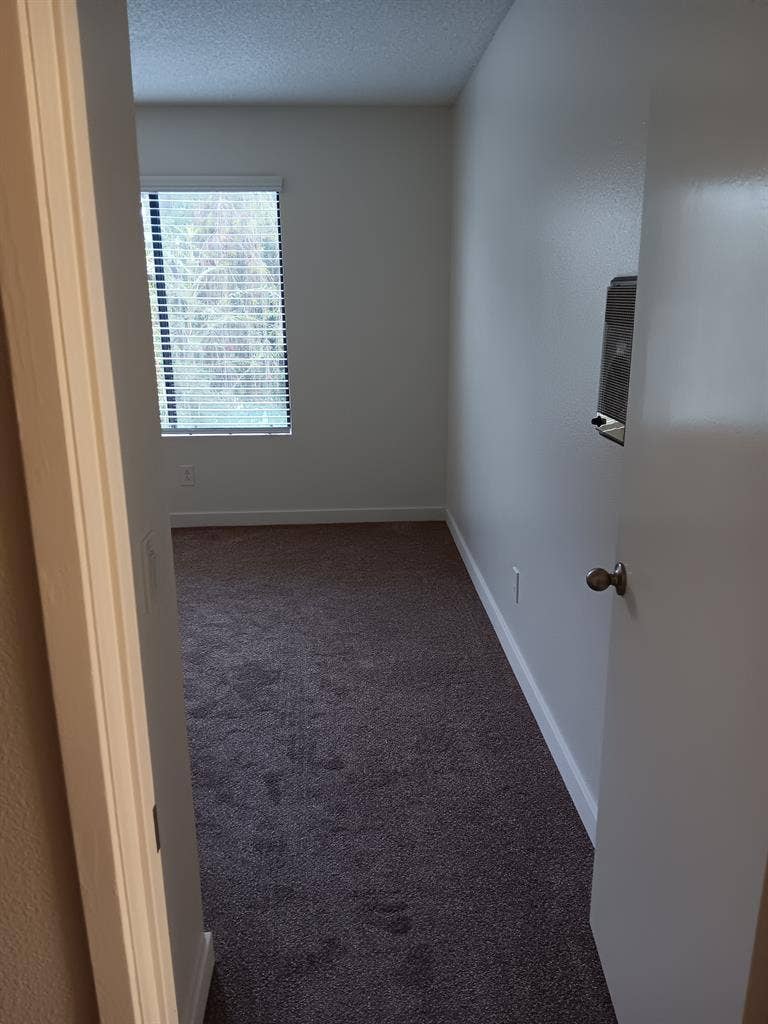 Room for rent, + apartment