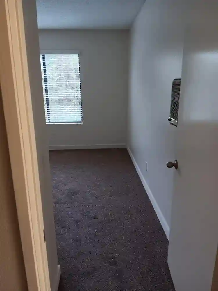 Room for rent, + apartment