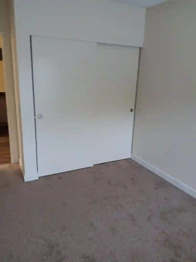 Room for rent, + apartment