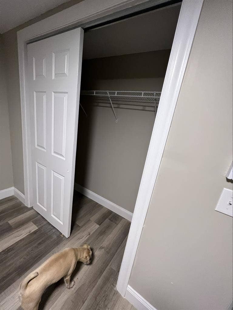 Newly renovated large room for rent