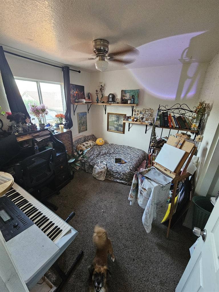 Private Room For Rent