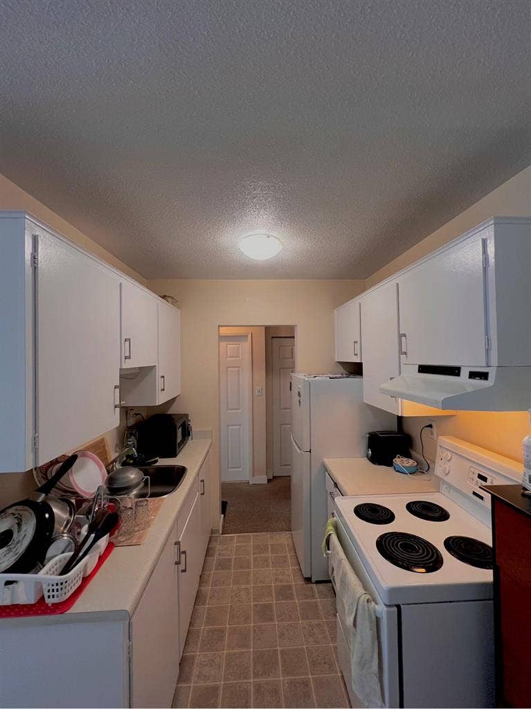 Clean Calm Roommate Wanted