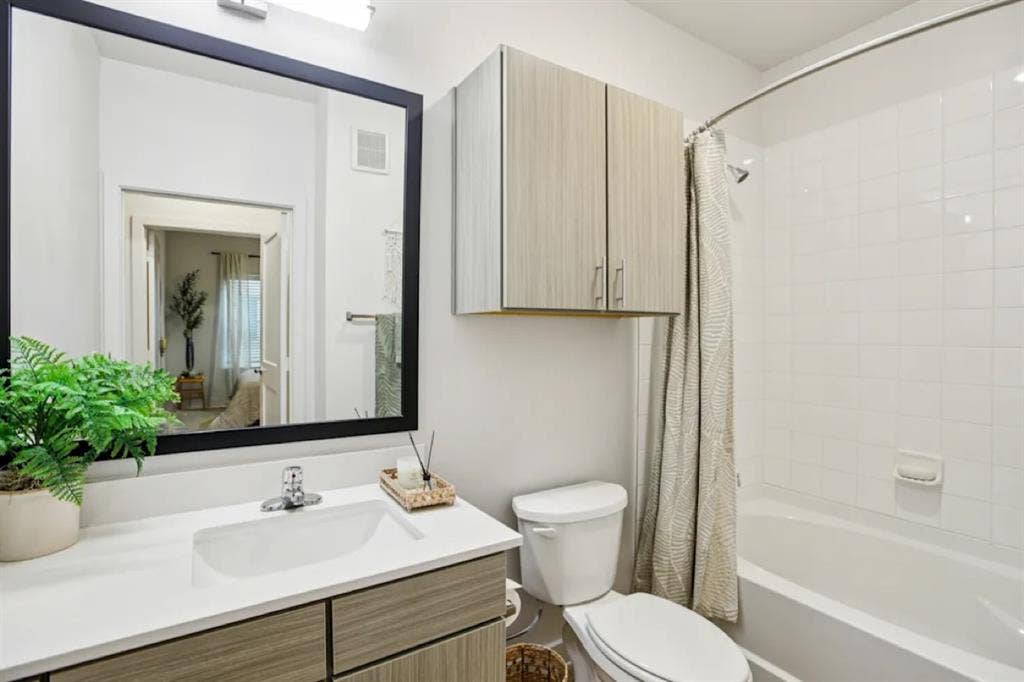 S. Austin Priv Bed/Bath $/Month