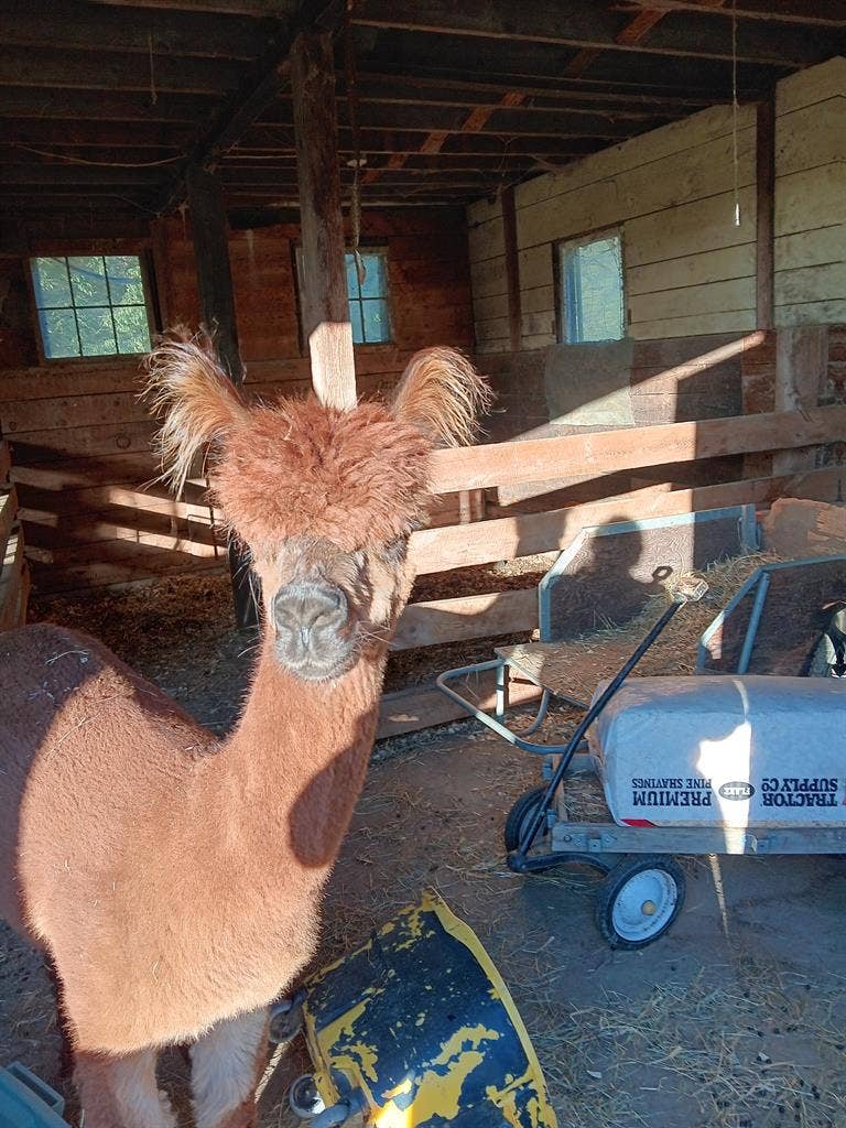 Close to Keene, Brattleboro