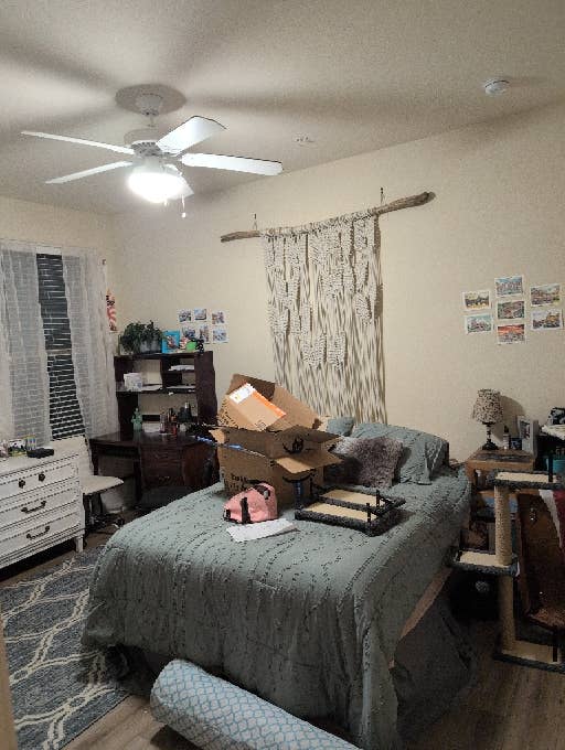 Looking for a roommate!