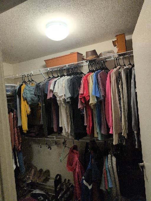 Looking for a roommate!