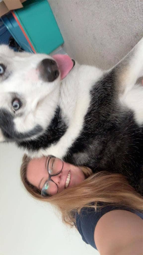 ✨Looking for a roommate✨