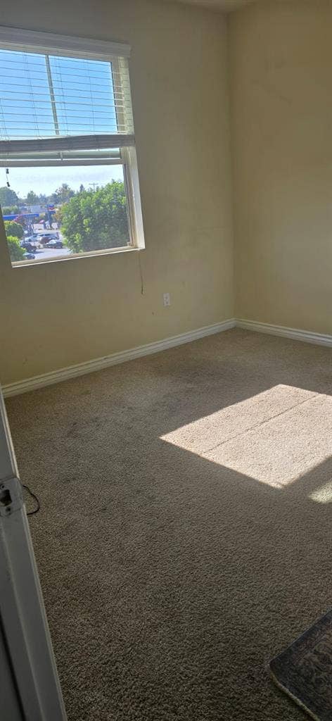 riverside drive i rent a roo