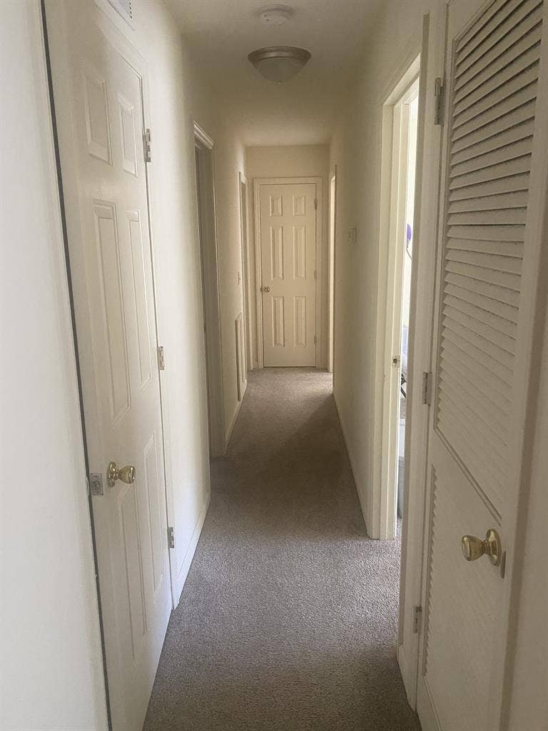 Looking for
roommates