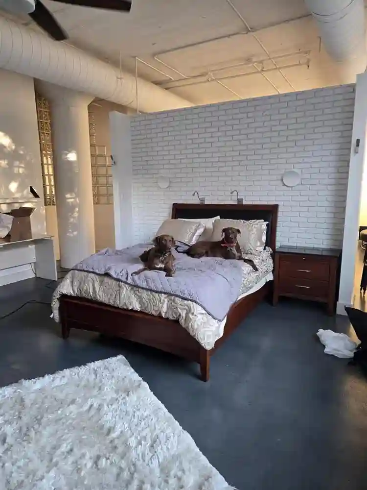 Loft in the Deep Ellum Area