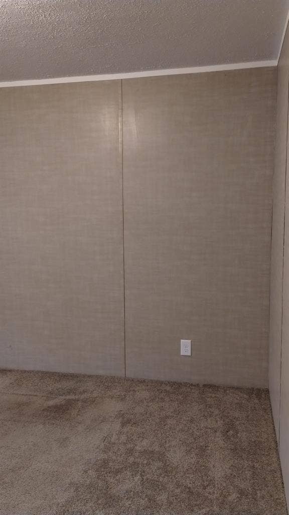 Quiet mature male for a  roommate