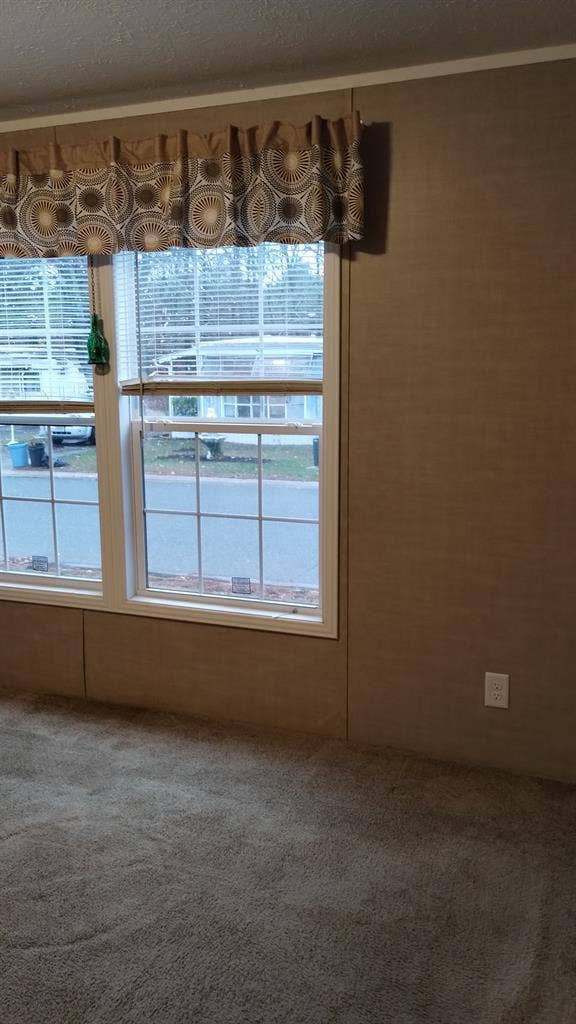 Quiet mature male for a  roommate