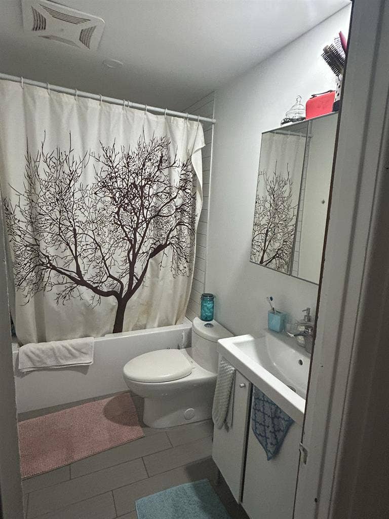 ✨Roommate wanted✨