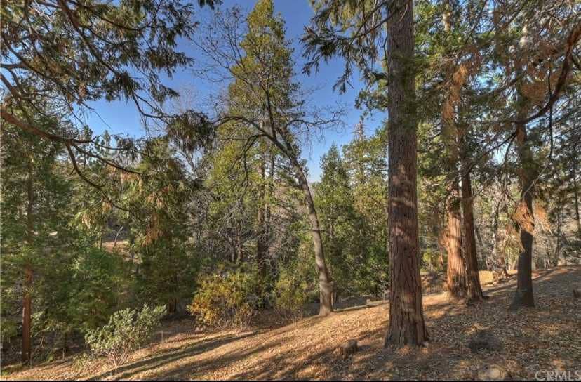 3 BR in Lake Arrowhead