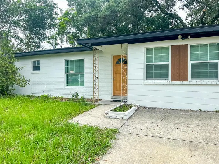 8 BR in Tampa