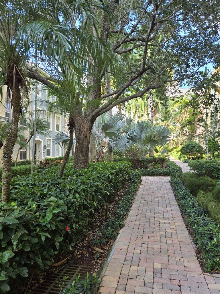 Beautiful downtown room for rent