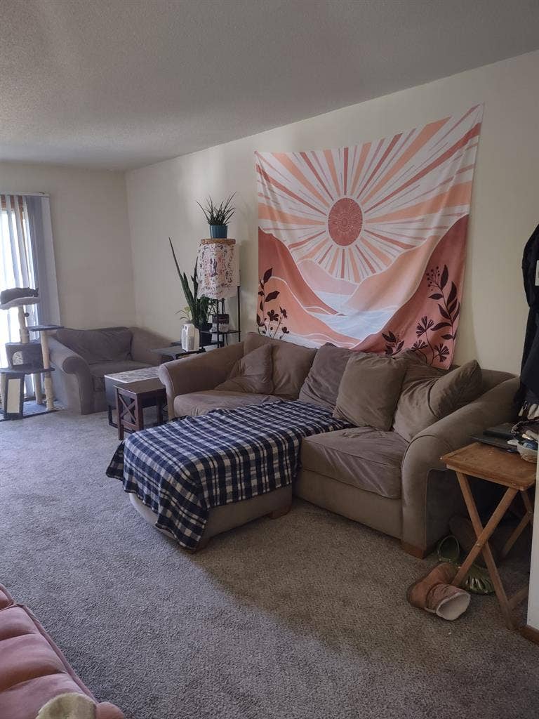 Looking for roommate