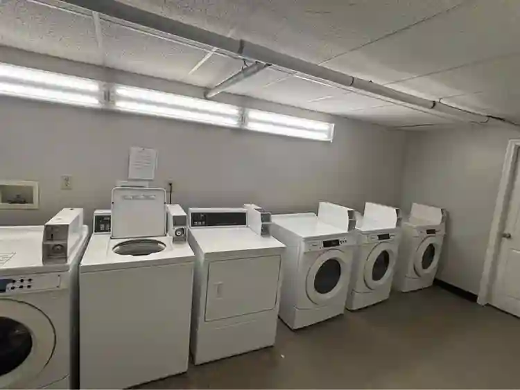 Looking for a female roommate b