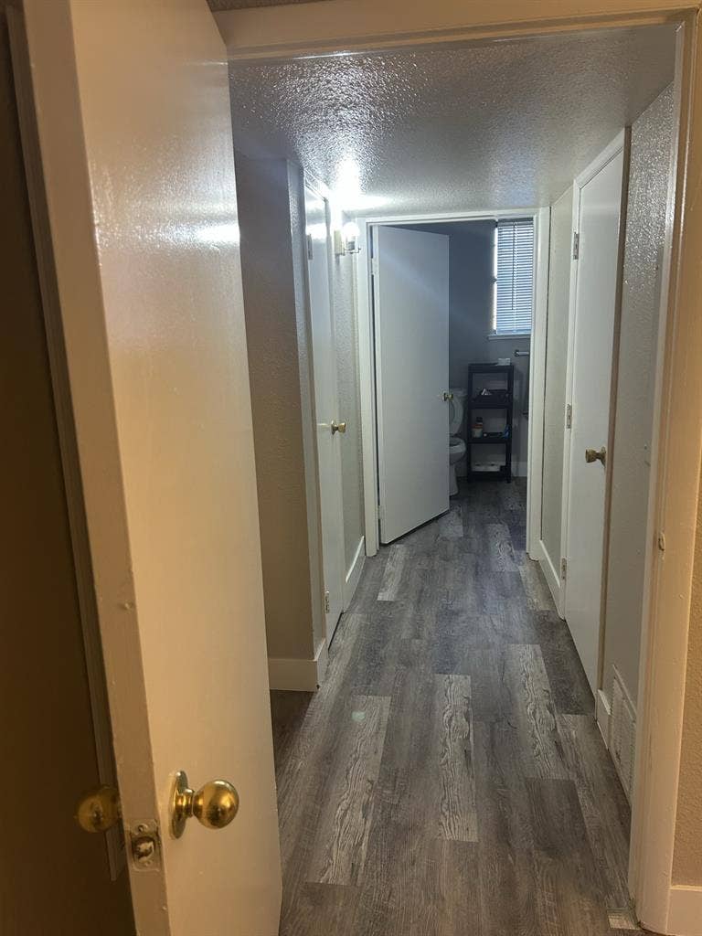 Room for rent Denver CO City Park