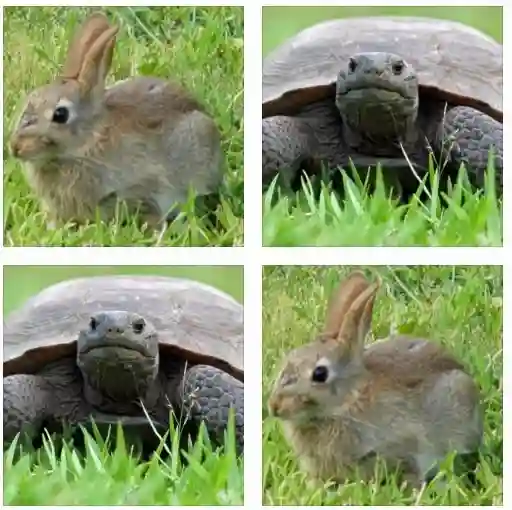 MASTER BEDROOM SUITE on 5 acres