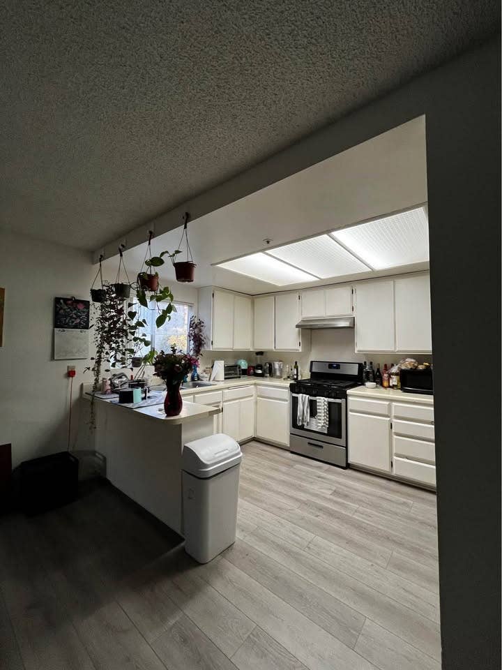 Private Room + Bathroom for Rent