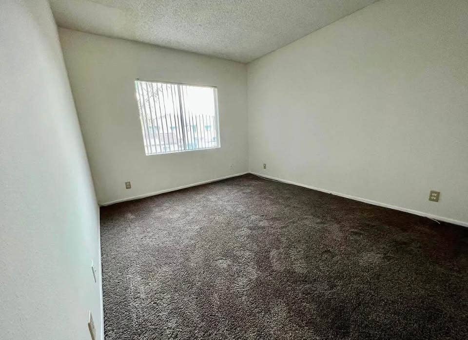 Private Room + Bathroom for Rent