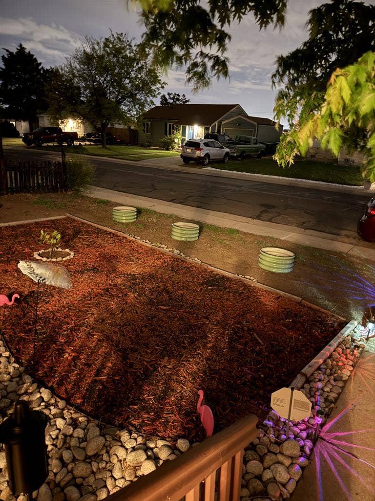 Looking for another roommate