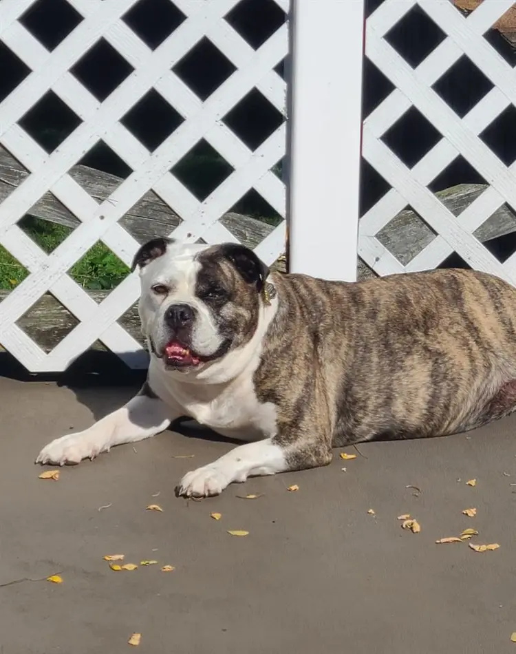 One room in 2br apartment.