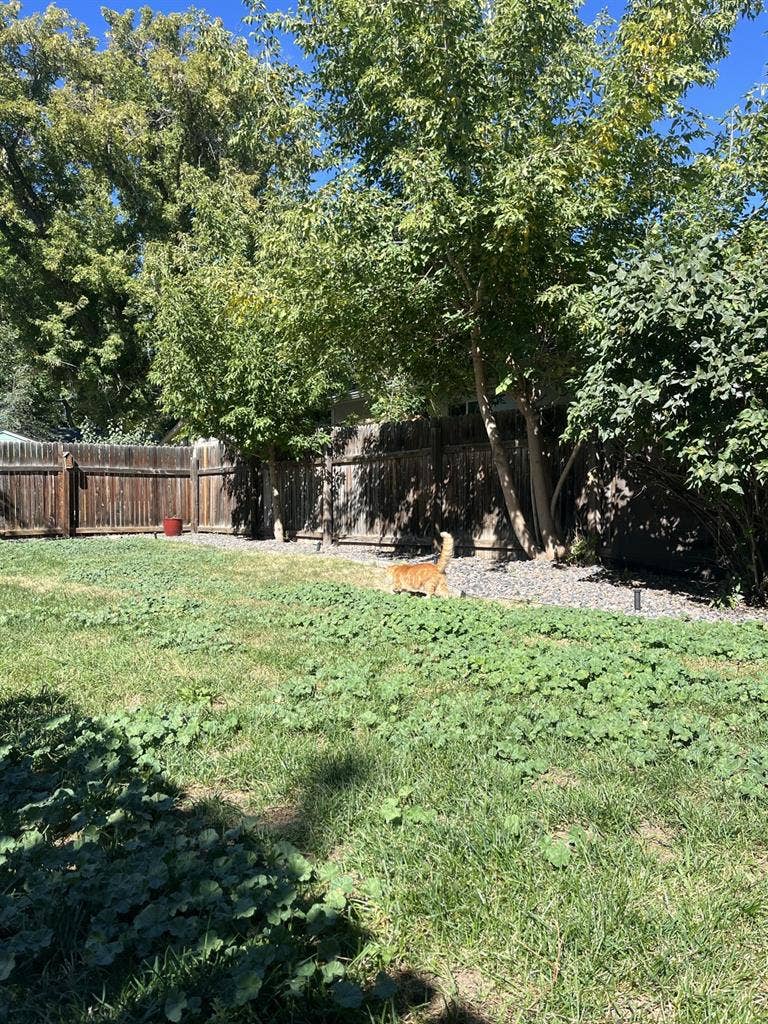 Room in  bath house !!