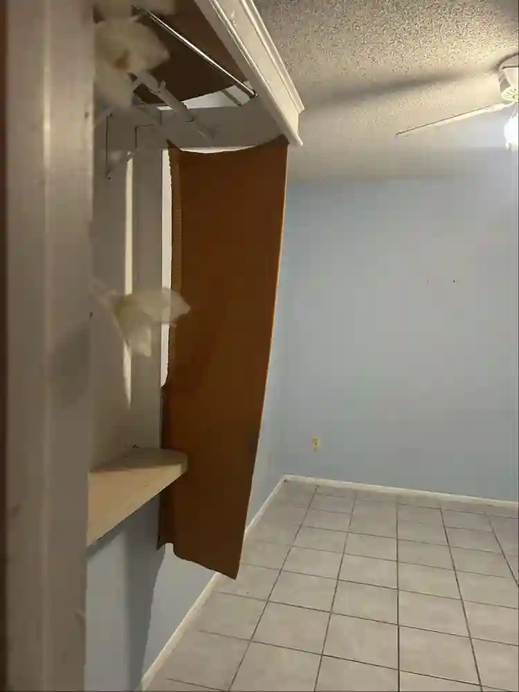 $ NEAR UCF! LOOKING FOR FEMALE