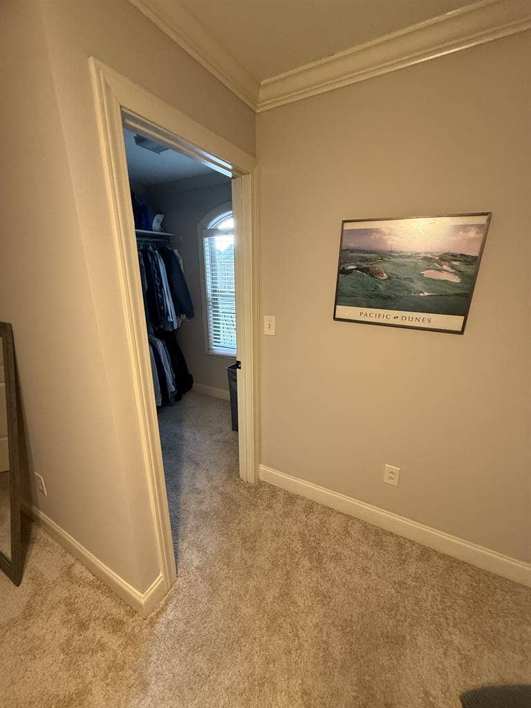 SUBLETTING ROOM FOR SPRING SEMESTER