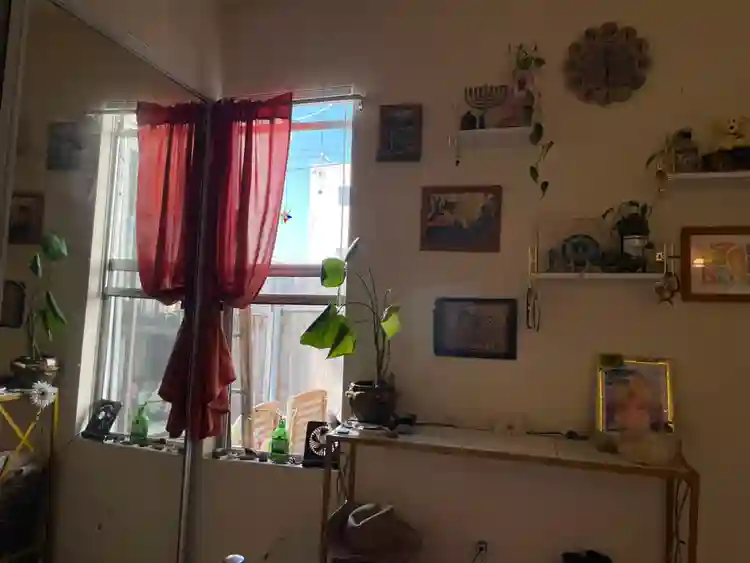 4ish month Sublease in Ocean Beach