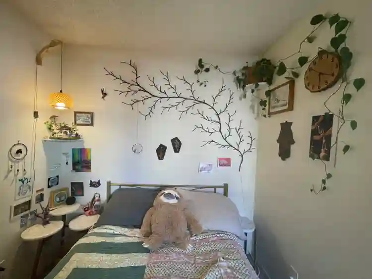 4ish month Sublease in Ocean Beach