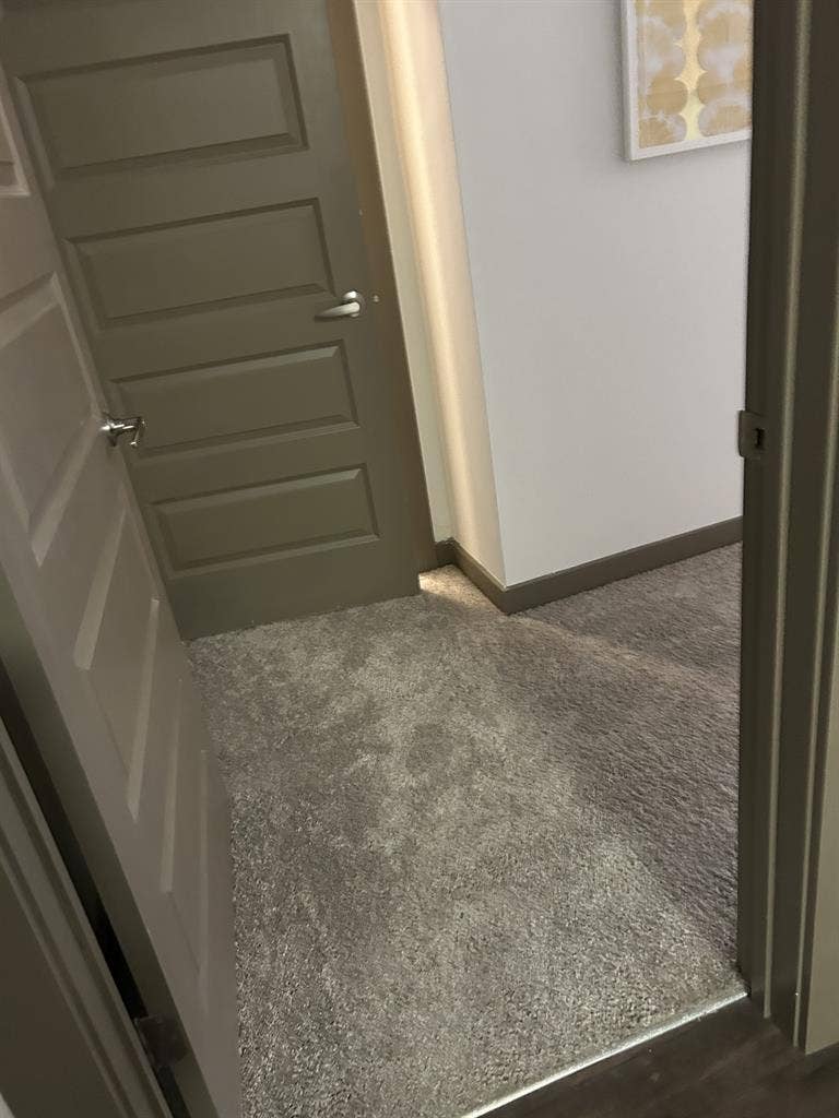 Room Available ASAP- December-July