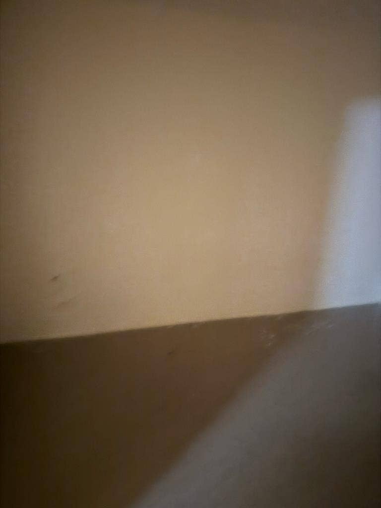 Rooms for immediate move in