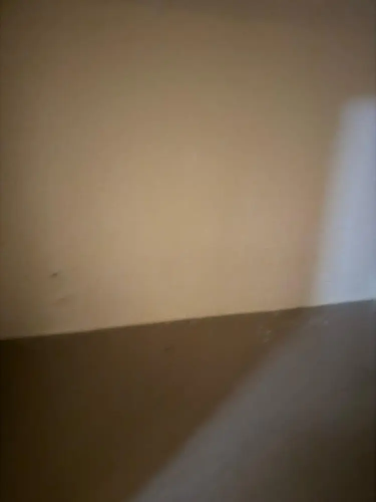 Rooms for immediate move in