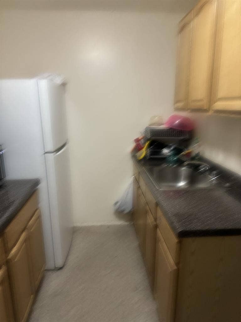 Rooms for immediate move in