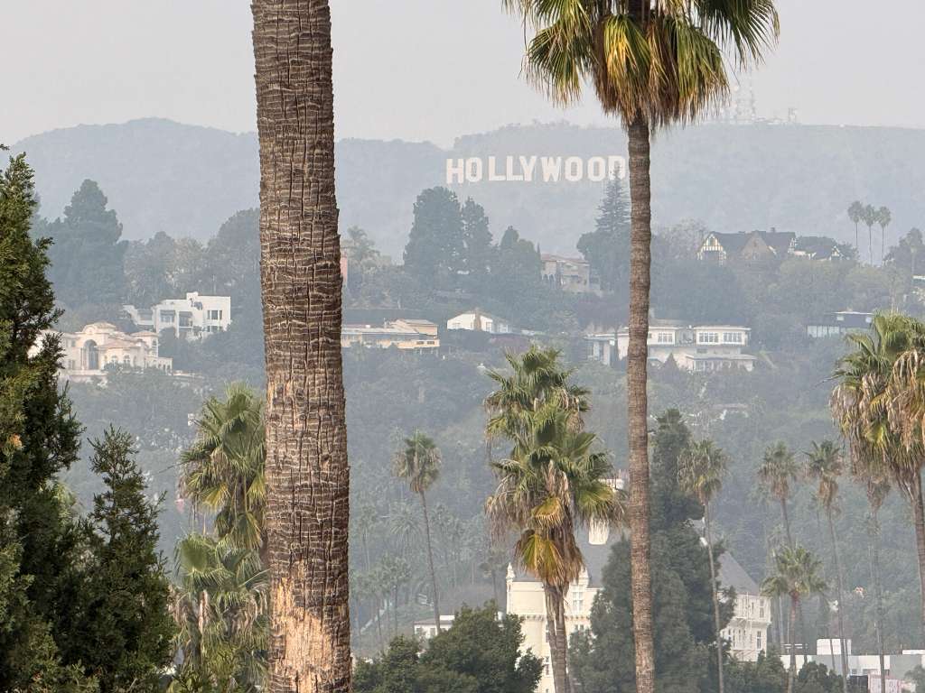 🌴 Private Room in East Hollywood🌆