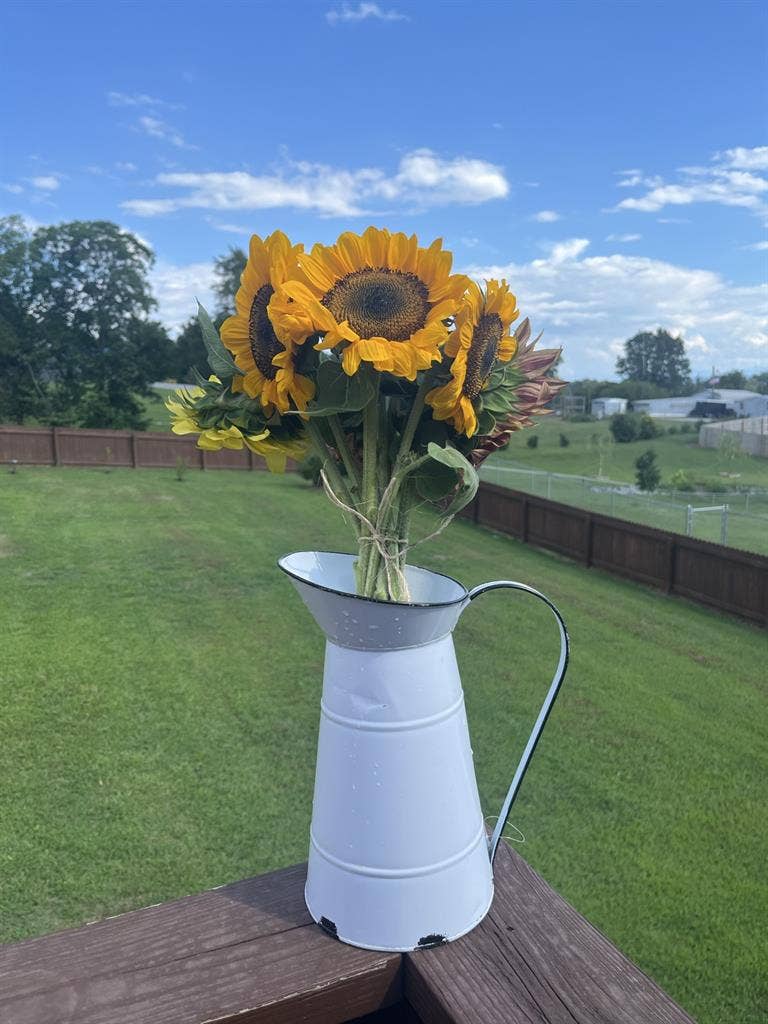 House with Fenced in Yard